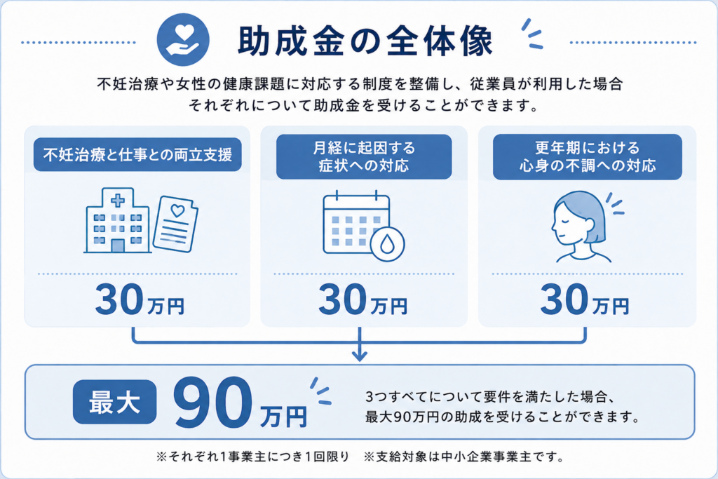 【女性の健康課題】助成金の全体像